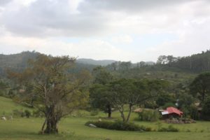 Dar 2012 (Swiss Farm Cottage Lushoto, Tanzania Part 1)