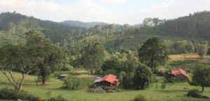 Dar 2012 (Swiss Farm Cottage Lushoto, Tanzania Part 1)