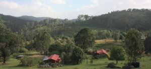 Dar 2012 (Swiss Farm Cottage Lushoto, Tanzania Part 1)