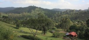 Dar 2012 (Swiss Farm Cottage Lushoto, Tanzania Part 1)