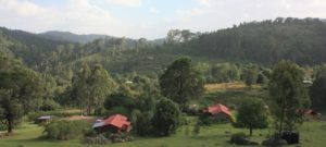 Dar 2012 (Swiss Farm Cottage Lushoto, Tanzania Part 1)