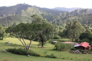 Dar 2012 (Swiss Farm Cottage Lushoto, Tanzania Part 1)