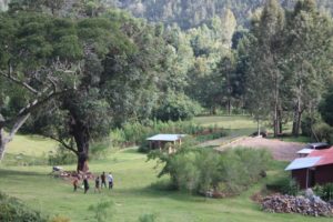 Dar 2012 (Swiss Farm Cottage Lushoto, Tanzania Part 1)