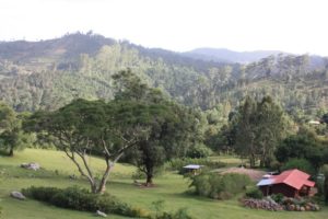 Dar 2012 (Swiss Farm Cottage Lushoto, Tanzania Part 1)
