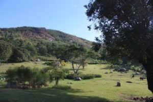 Dar 2012 (Swiss Farm Cottage Lushoto, Tanzania Part 2)