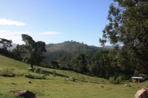 Dar 2012 (Swiss Farm Cottage Lushoto, Tanzania Part 2)