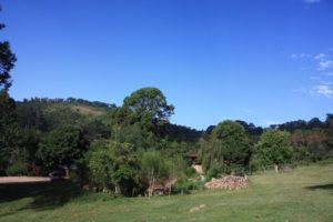 Dar 2012 (Swiss Farm Cottage Lushoto, Tanzania Part 2)