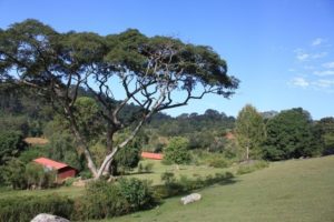 Dar 2012 (Swiss Farm Cottage Lushoto, Tanzania Part 2)