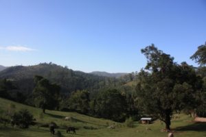 Dar 2012 (Swiss Farm Cottage Lushoto, Tanzania Part 2)