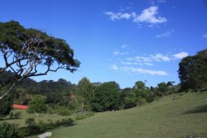 Dar 2012 (Swiss Farm Cottage Lushoto, Tanzania Part 2)