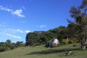 Dar 2012 (Swiss Farm Cottage Lushoto, Tanzania Part 2)