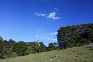 IMG_8471 (Swiss Farm Cottage Lushoto, Tanzania Part 2)