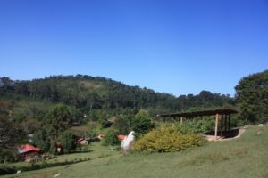 Dar 2012 (Swiss Farm Cottage Lushoto, Tanzania Part 2)
