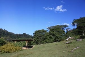 Dar 2012 (Swiss Farm Cottage Lushoto, Tanzania Part 2)