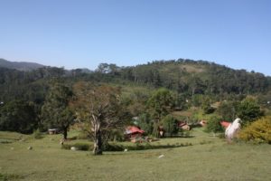 Dar 2012 (Swiss Farm Cottage Lushoto, Tanzania Part 2)