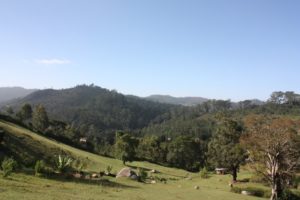 Dar 2012 (Swiss Farm Cottage Lushoto, Tanzania Part 2)