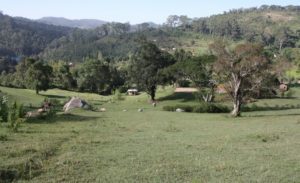 Dar 2012 (Swiss Farm Cottage Lushoto, Tanzania Part 2)