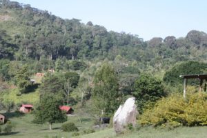 Dar 2012 (Swiss Farm Cottage Lushoto, Tanzania Part 2)