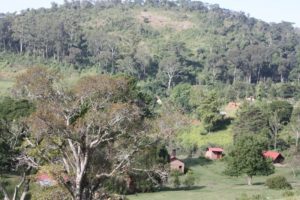 Dar 2012 (Swiss Farm Cottage Lushoto, Tanzania Part 2)