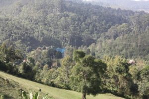 Dar 2012 (Swiss Farm Cottage Lushoto, Tanzania Part 2)