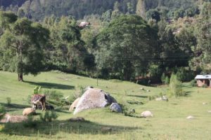 Dar 2012 (Swiss Farm Cottage Lushoto, Tanzania Part 2)