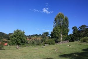 Dar 2012 (Swiss Farm Cottage Lushoto, Tanzania Part 2)