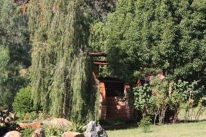 IMG_8491 (Swiss Farm Cottage Lushoto, Tanzania Part 2)