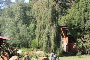 Dar 2012 (Swiss Farm Cottage Lushoto, Tanzania Part 2)