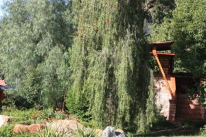 Dar 2012 (Swiss Farm Cottage Lushoto, Tanzania Part 2)