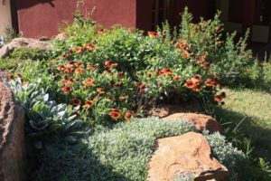 Dar 2012 (Swiss Farm Cottage Lushoto, Tanzania Part 2)