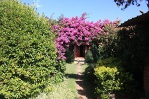 Dar 2012 (Swiss Farm Cottage Lushoto, Tanzania Part 2)