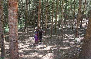 Dar 2012 (Lushoto, Tanzania. Mar 2012, Part 2)