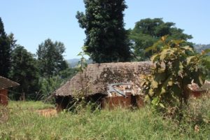 Dar 2012 (Lushoto, Tanzania. Mar 2012, Part 2)