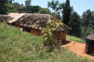 Dar 2012 (Lushoto, Tanzania. Mar 2012, Part 2)