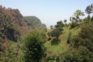 Dar 2012 (Lushoto, Tanzania. Mar 2012, Part 2)