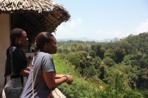 Dar 2012 (Lushoto, Tanzania. Mar 2012, Part 2)