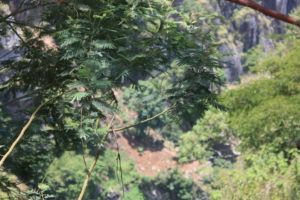 Dar 2012 (Lushoto, Tanzania. Mar 2012, Part 2)