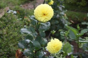 Lushoto 2012 (Lushoto, Tanzania. Mar 2012, Part 3)