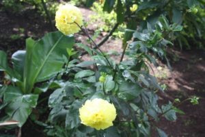 Lushoto 2012 (Lushoto, Tanzania. Mar 2012, Part 3)