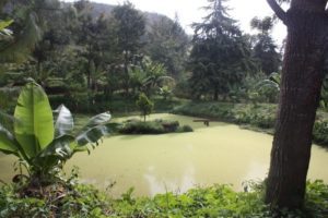 Lushoto 2012 (Lushoto, Tanzania. Mar 2012, Part 3)