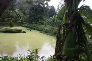 Lushoto 2012 (Lushoto, Tanzania. Mar 2012, Part 3)