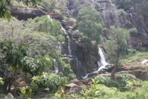 Lushoto 2012 (Lushoto, Tanzania. Mar 2012, Part 3)