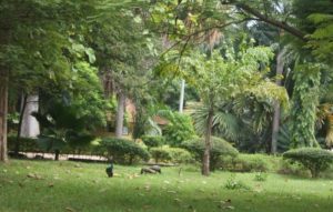 Dar 2012 (Dar es Salaam, Tanzania. Mar 2012)