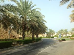 Shangri La 2012 (On our way to a weekend gateway @Shangri-La Hotels. Aug, 2012)