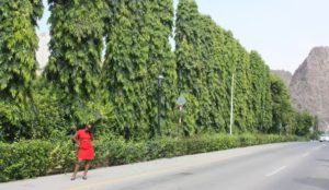Tina in Al Bustan (Tina @Al Bustan Palace Ritz Carlton hotel, Oman with dada. Aug, 2012)