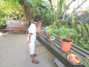 Aruba 2012 (Aruba City Tour Part I…MSC Poesia Cruise Ship Day 4, Dec 5. 2012)