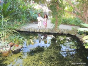 Aruba 2012 (Aruba City Tour Part I…MSC Poesia Cruise Ship Day 4, Dec 5. 2012)