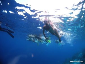 Bonaire 2012 (Snorkeling At Bonaire Island, Day 3 MSC Cruise Ship Dec 4. 2012)