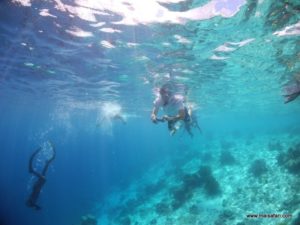 Bonaire 2012 (Snorkeling At Bonaire Island, Day 3 MSC Cruise Ship Dec 4. 2012)