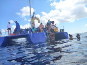 Bonaire 2012 (Snorkeling At Bonaire Island, Day 3 MSC Cruise Ship Dec 4. 2012)